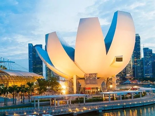 关于<i style='color:red'>新加坡其他工作准证</i>（Miscellaneous Work Pass）！