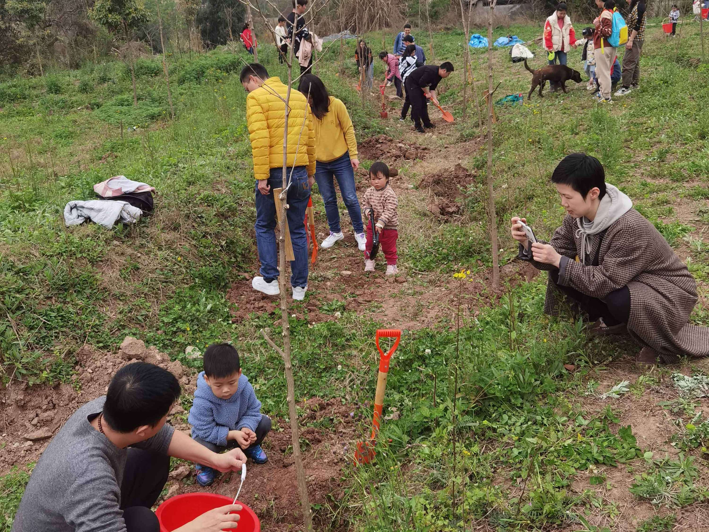 青白江植树有感-2021