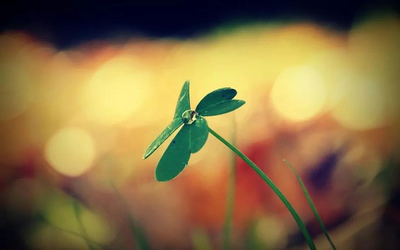 我们的人生是在“演”，还是在“活”？