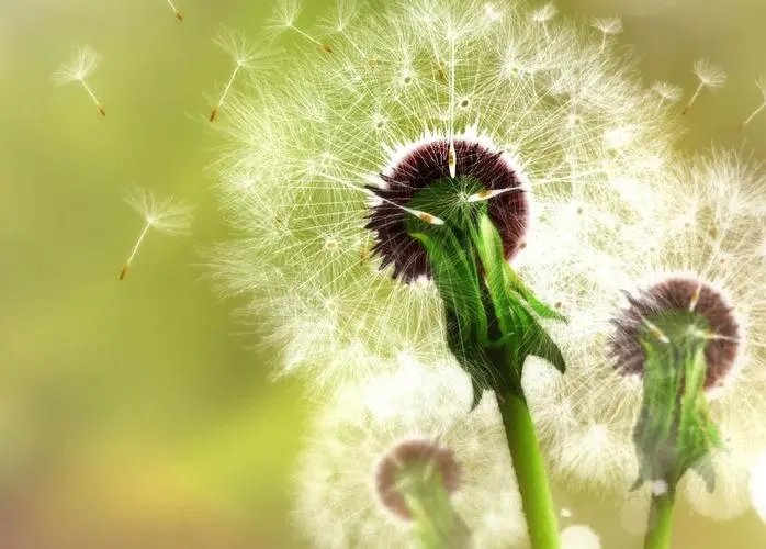 感谢美西方这场世纪博弈，贸易、科技、金融博弈，彻底唤醒了中国