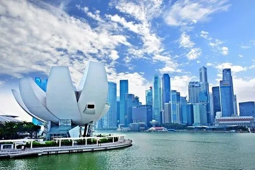 拿到新加坡工作签证后可以担任新加坡公司的提名董事或股东吗？
